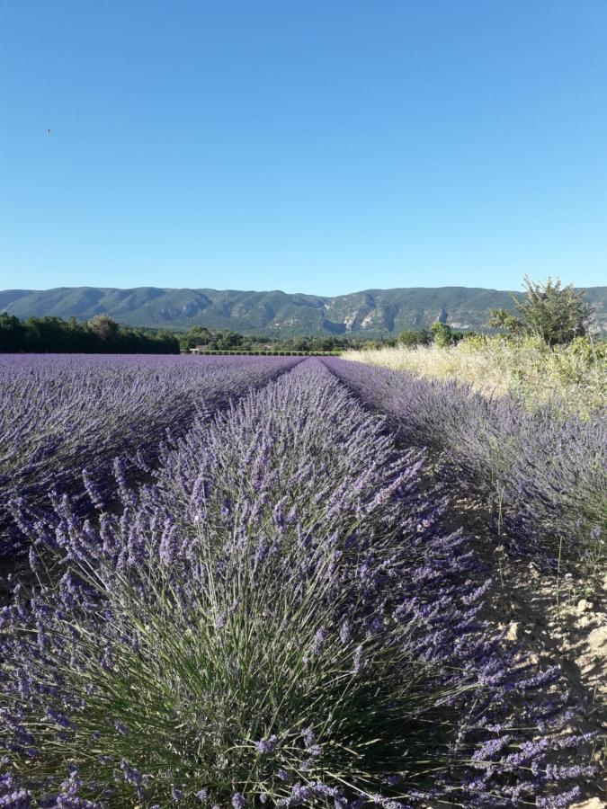 Le Bagnol Un Coin De Paradis * Maubec (Vaucluse)