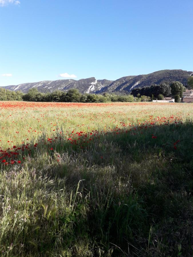 Homestay Le Bagnol Un Coin De Paradis