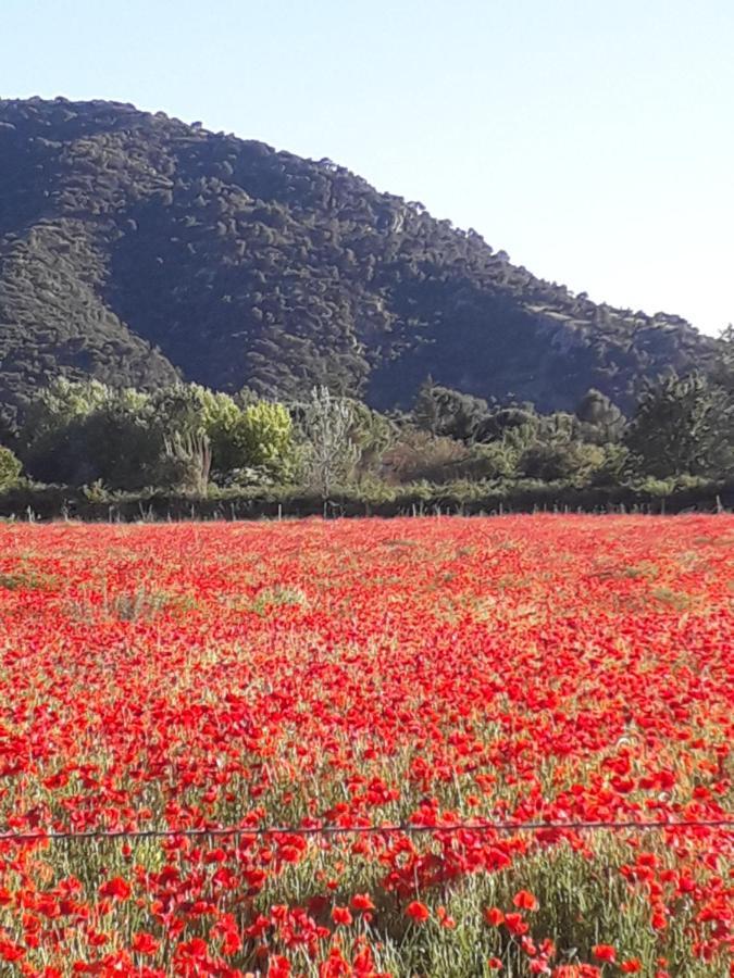 Le Bagnol Un Coin De Paradis Homestay