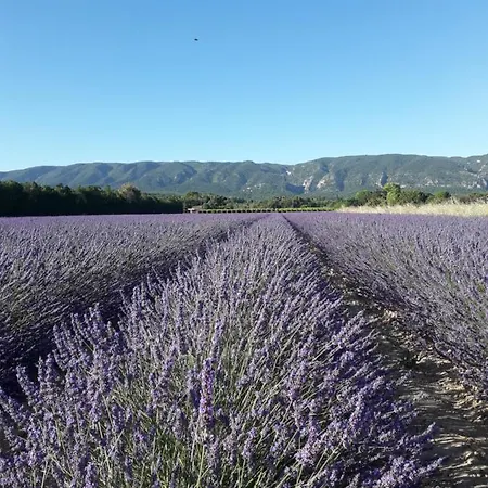 Gite Le Bagnol Un Coin De Paradis Maubec  Buitenkant foto