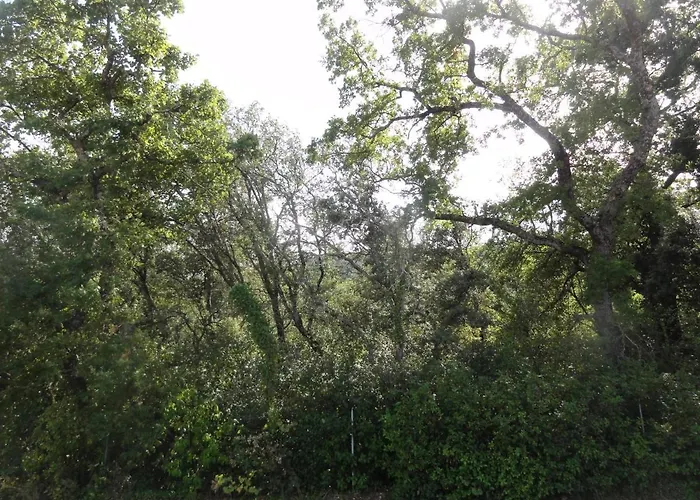 Gite Le Bagnol Un Coin De Paradis