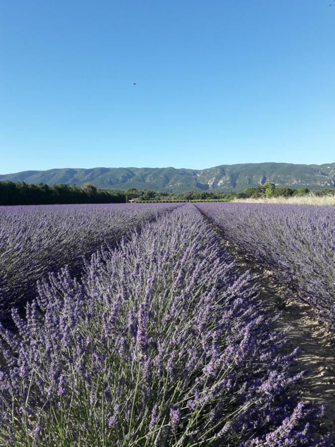 Le Bagnol Un Coin De Paradis Privatunterkunft Maubec (Vaucluse)